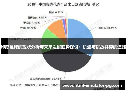 印度足球的现状分析与未来发展趋势探讨:机遇与挑战并存的道路 印度足球的现状分析与未来发展趋势探讨:机遇与挑战并存的道路