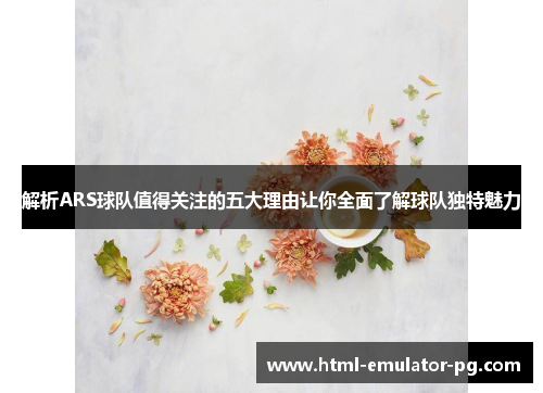 解析ARS球队值得关注的五大理由让你全面了解球队独特魅力