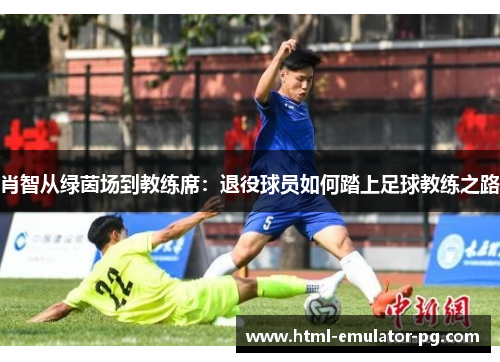 肖智从绿茵场到教练席：退役球员如何踏上足球教练之路