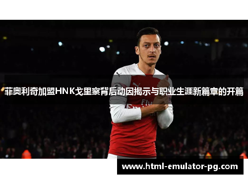 菲奥利奇加盟HNK戈里察背后动因揭示与职业生涯新篇章的开篇