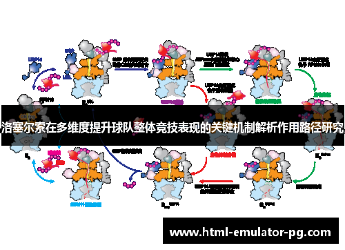 洛塞尔索在多维度提升球队整体竞技表现的关键机制解析作用路径研究